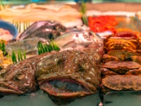 Cork, The English Market